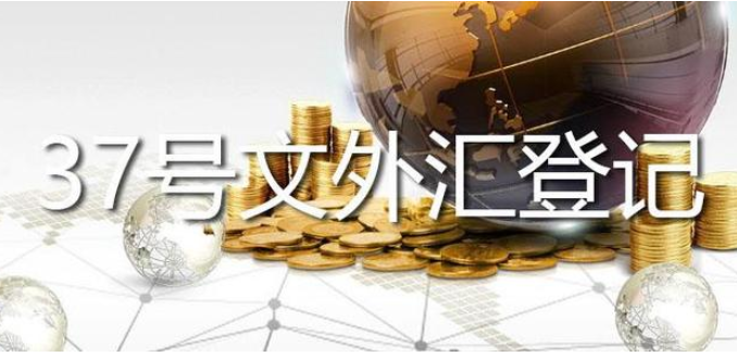 37號(hào)文外匯登記