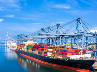 寵物品牌出海新機遇：歐洲“綠色革命”下如何掘金千億賽道？